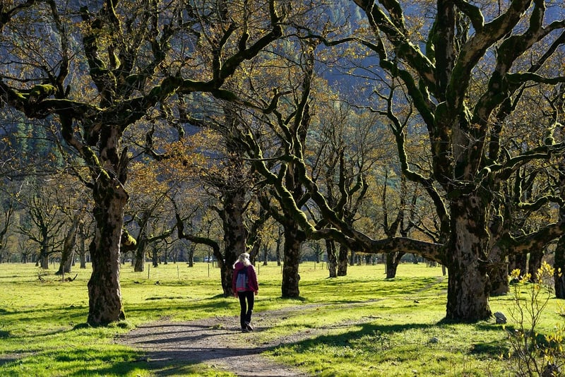Mindful Walking Exercise